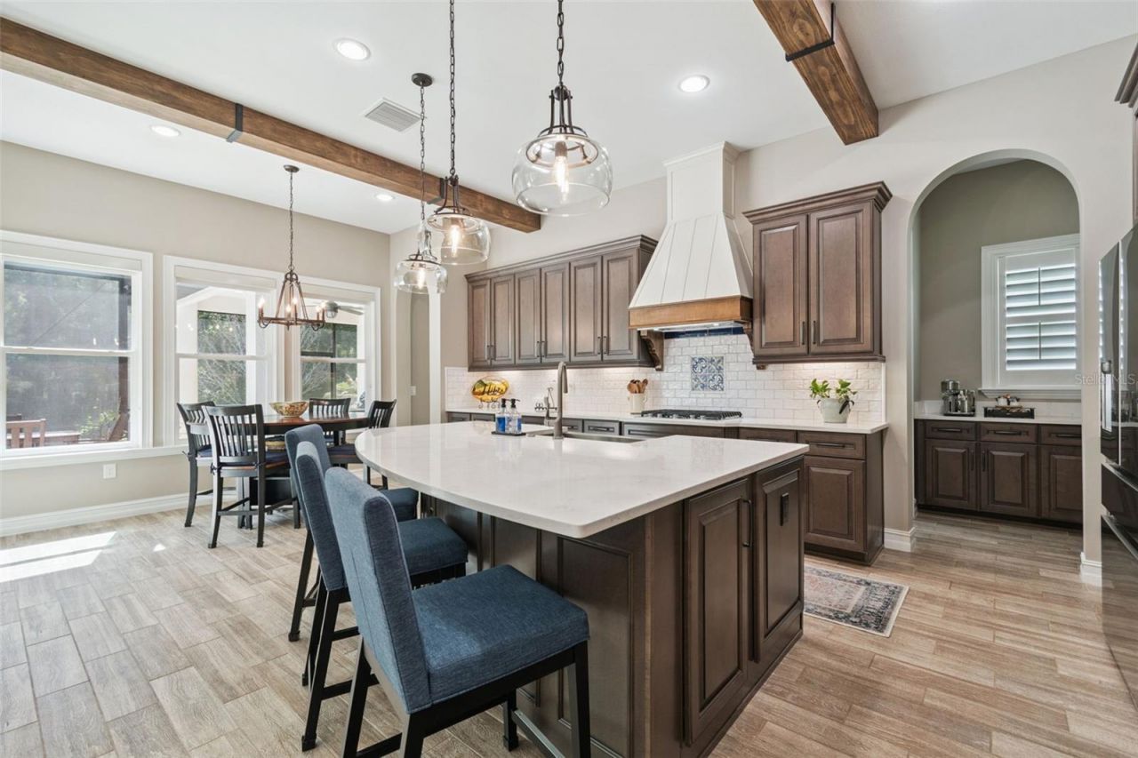 29190 Picana Lane, Wesley Chapel, FL 33543 Photo