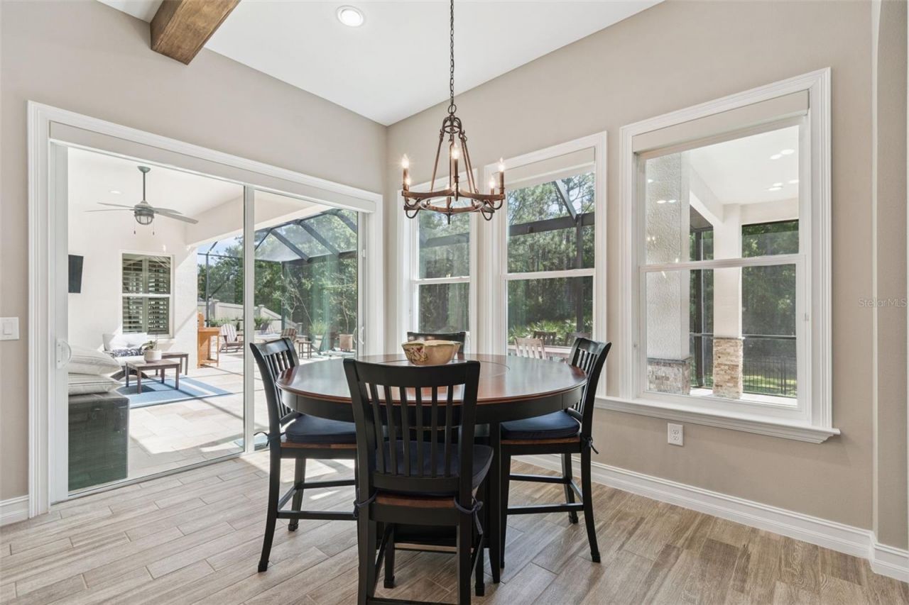 29190 Picana Lane, Wesley Chapel, FL 33543 Photo