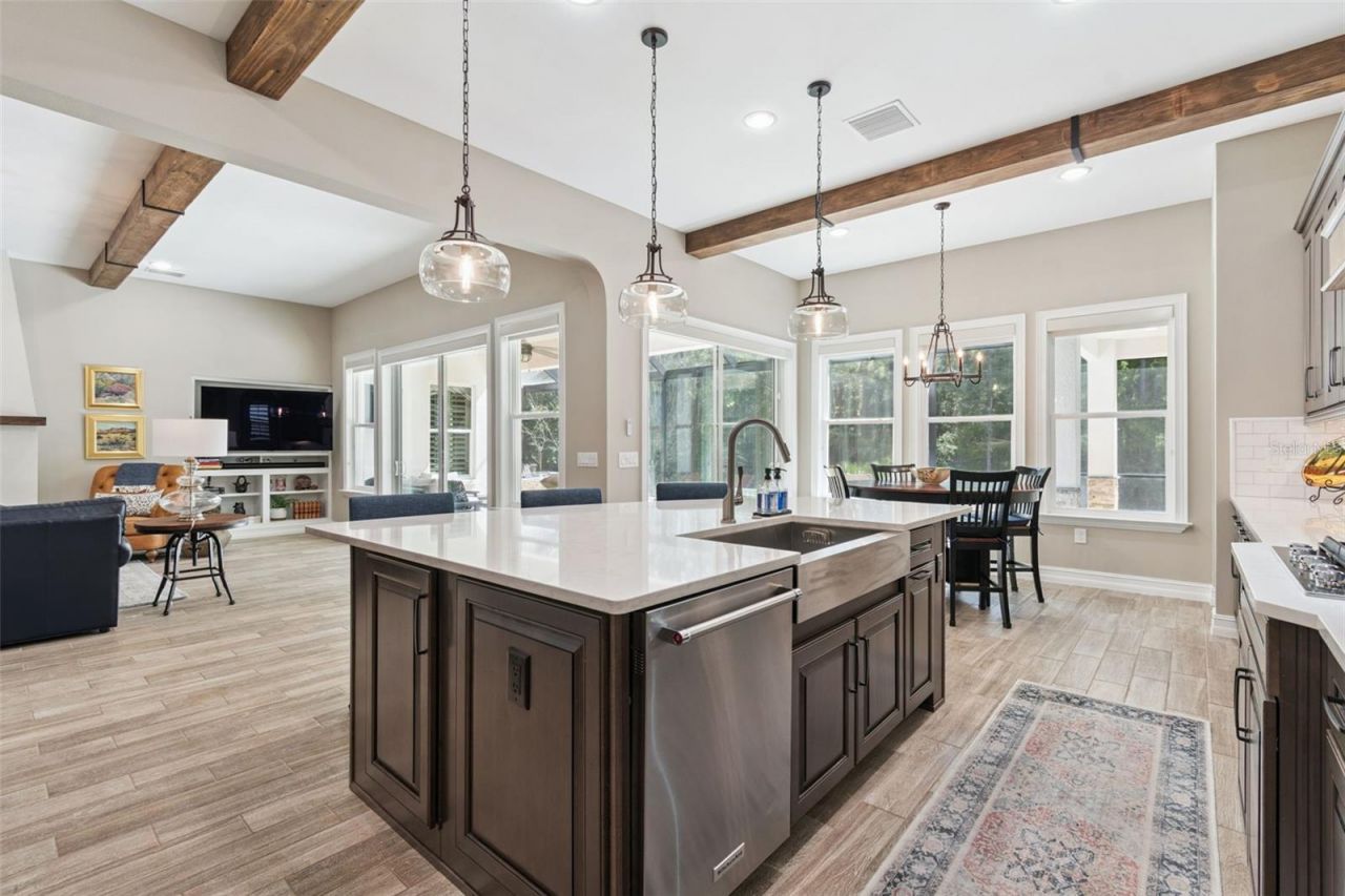 29190 Picana Lane, Wesley Chapel, FL 33543 Photo