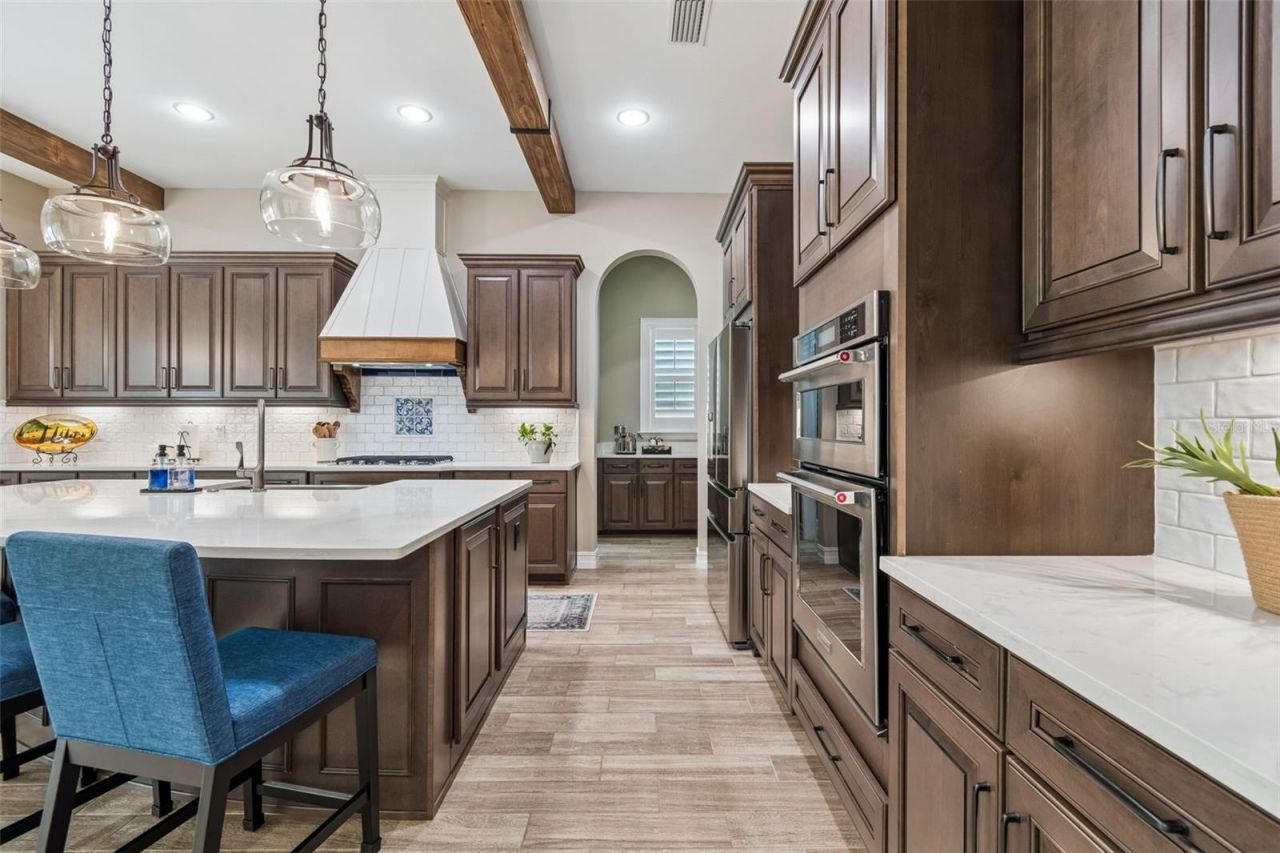 29190 Picana Lane, Wesley Chapel, FL 33543 Photo