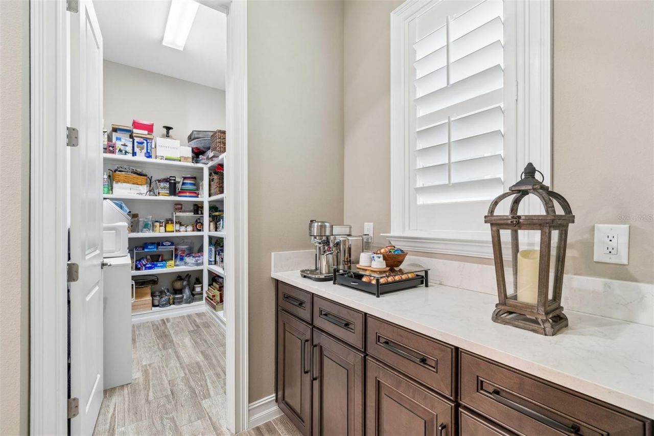 29190 Picana Lane, Wesley Chapel, FL 33543 Photo