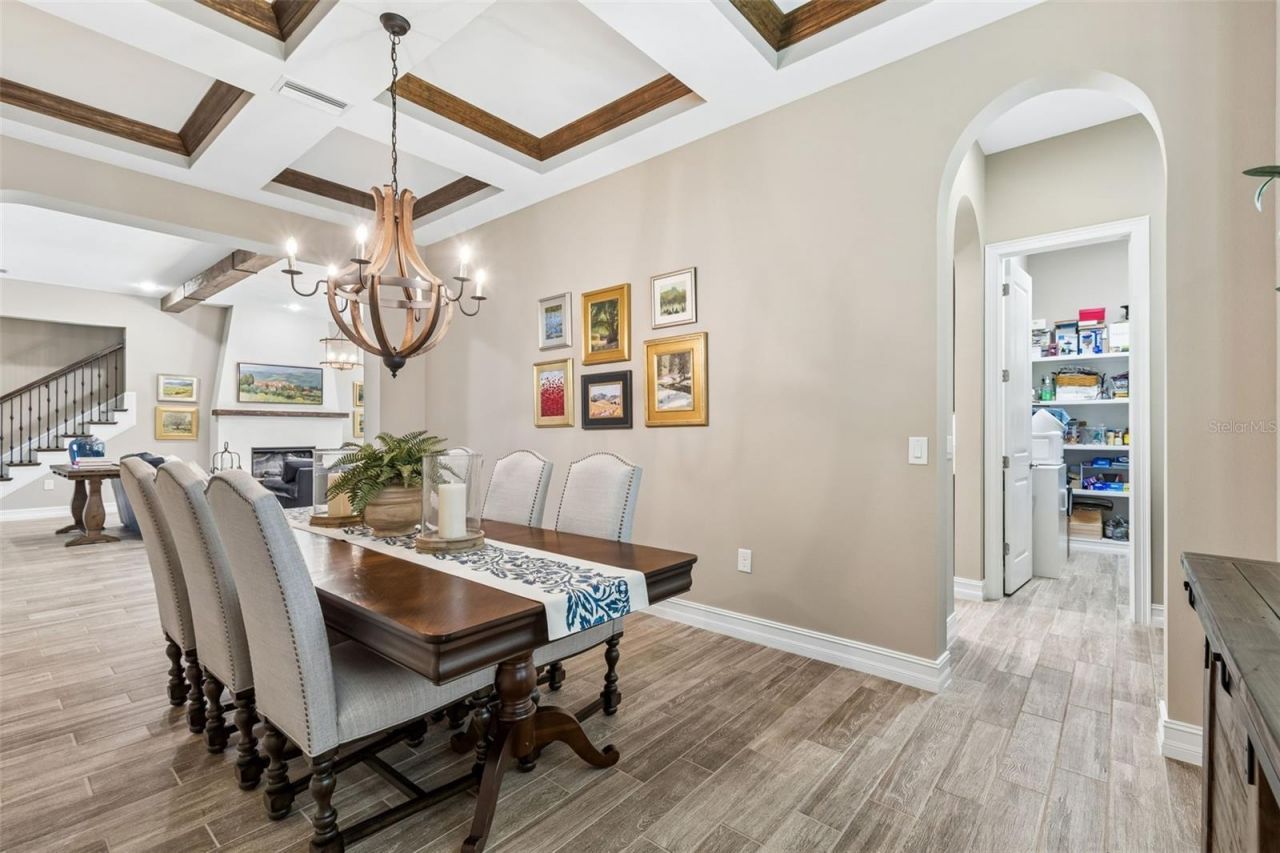 29190 Picana Lane, Wesley Chapel, FL 33543 Photo