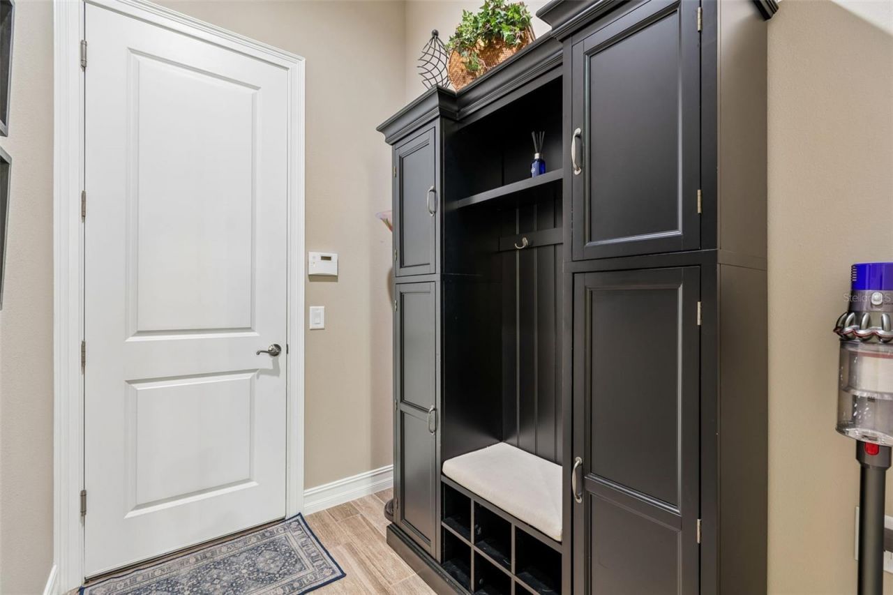 29190 Picana Lane, Wesley Chapel, FL 33543 Photo