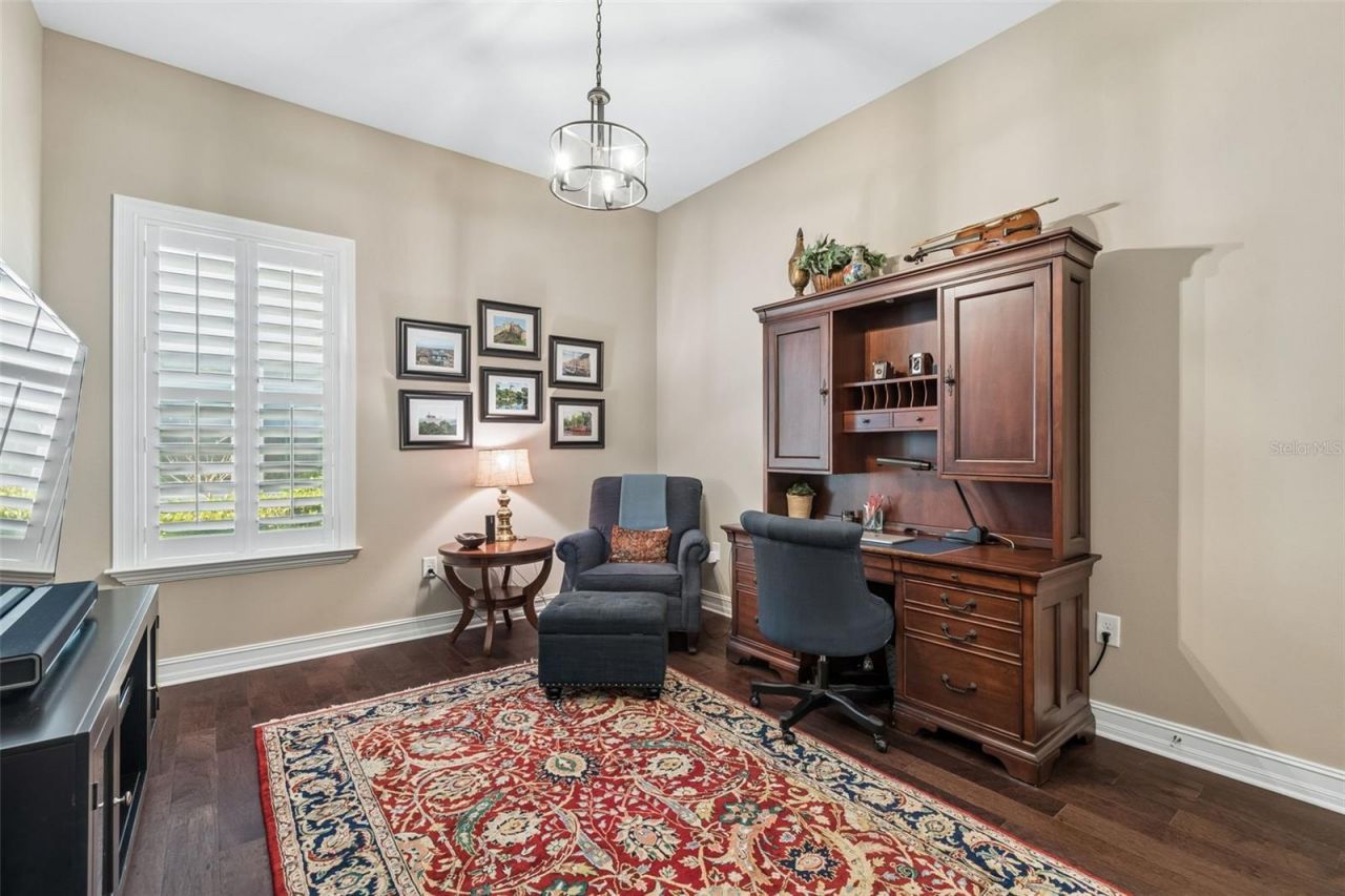 29190 Picana Lane, Wesley Chapel, FL 33543 Photo