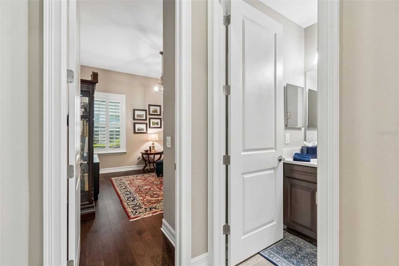 29190 Picana Lane, Wesley Chapel, FL 33543 Photo