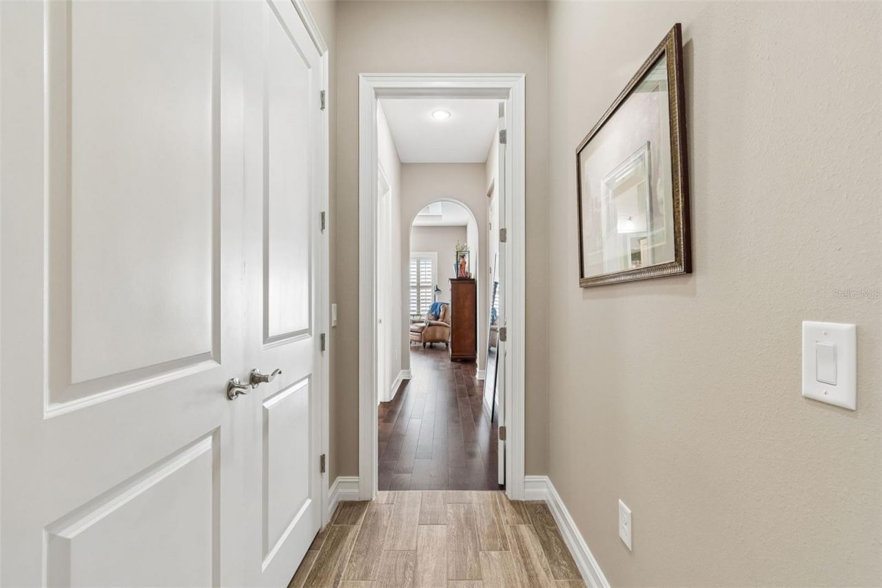 29190 Picana Lane, Wesley Chapel, FL 33543 Photo