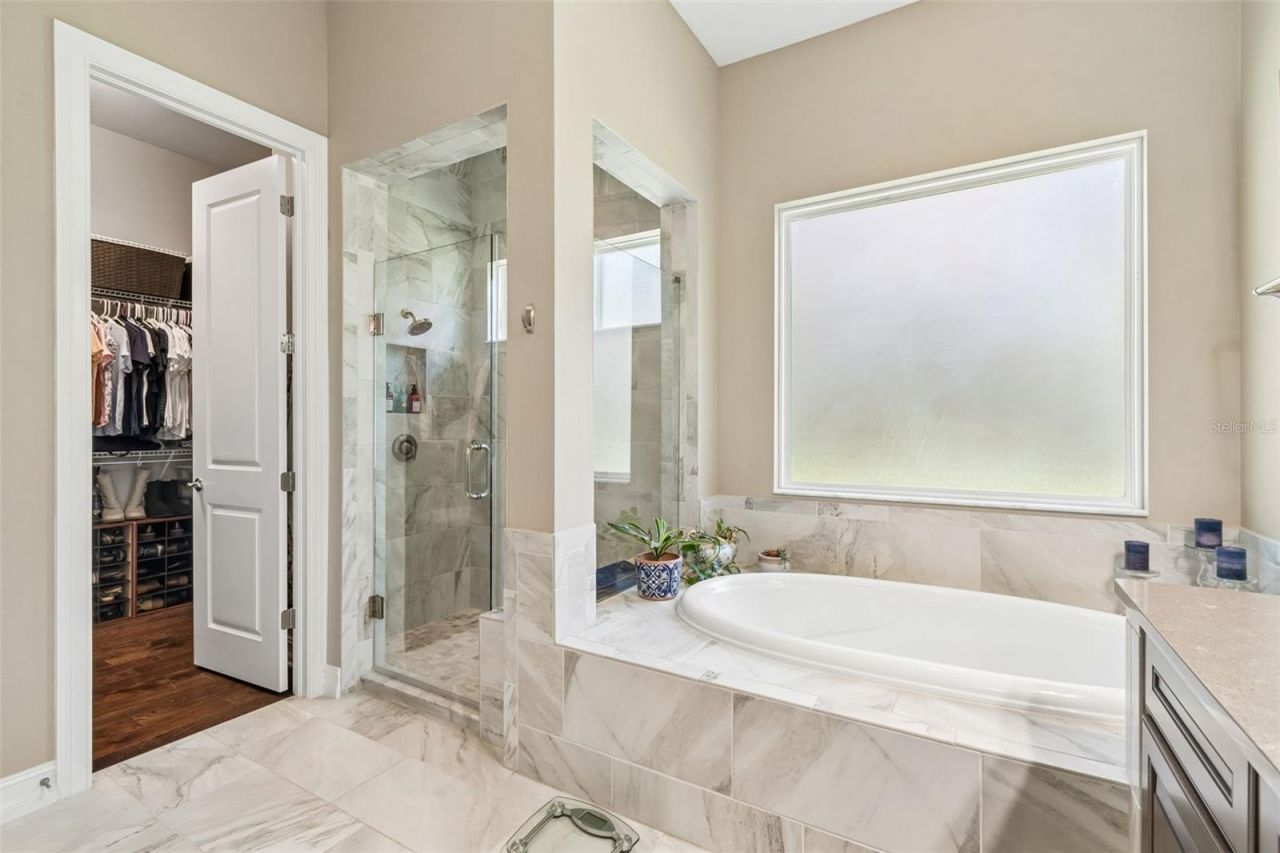 29190 Picana Lane, Wesley Chapel, FL 33543 Photo