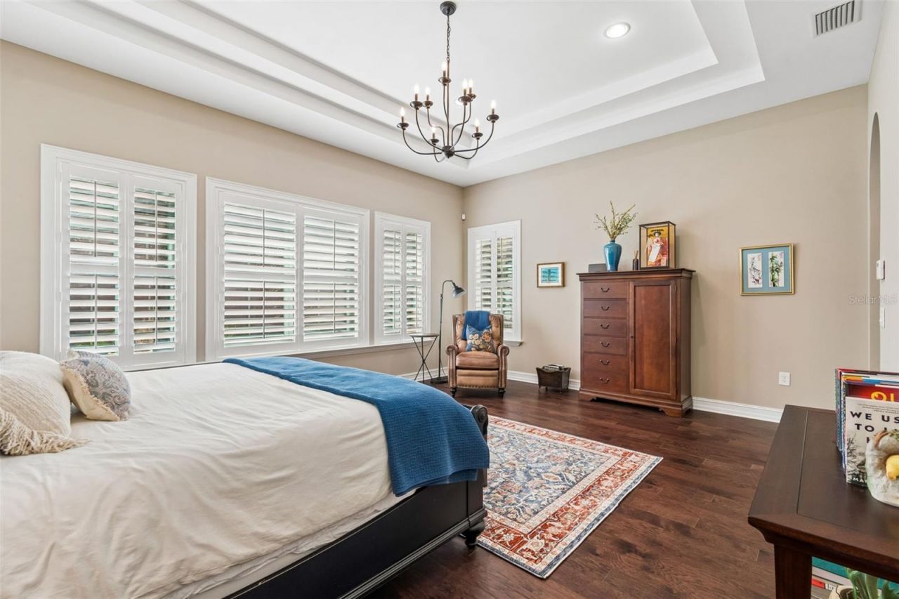 29190 Picana Lane, Wesley Chapel, FL 33543 Photo