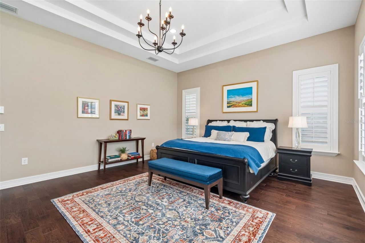 29190 Picana Lane, Wesley Chapel, FL 33543 Photo