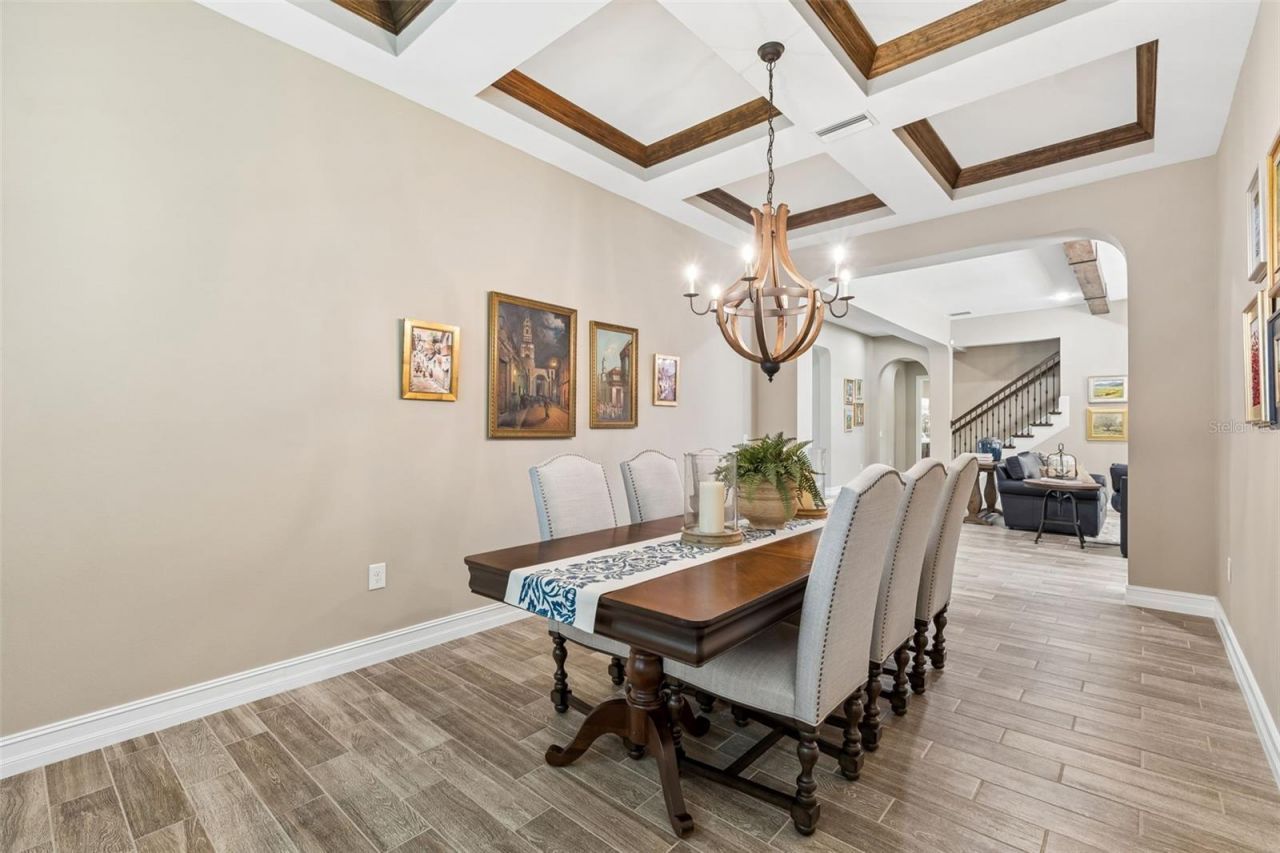 29190 Picana Lane, Wesley Chapel, FL 33543 Photo