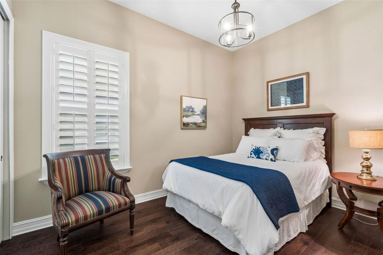 29190 Picana Lane, Wesley Chapel, FL 33543 Photo