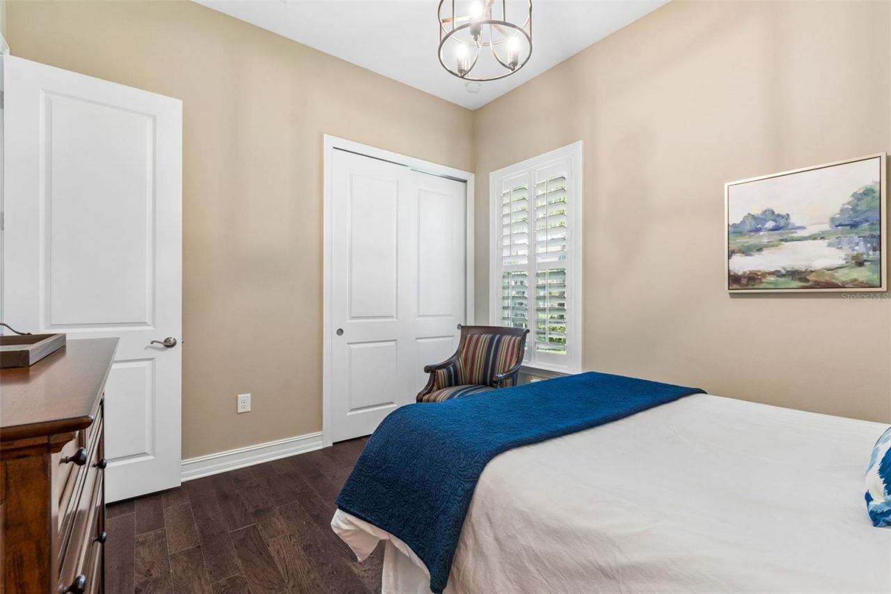 29190 Picana Lane, Wesley Chapel, FL 33543 Photo