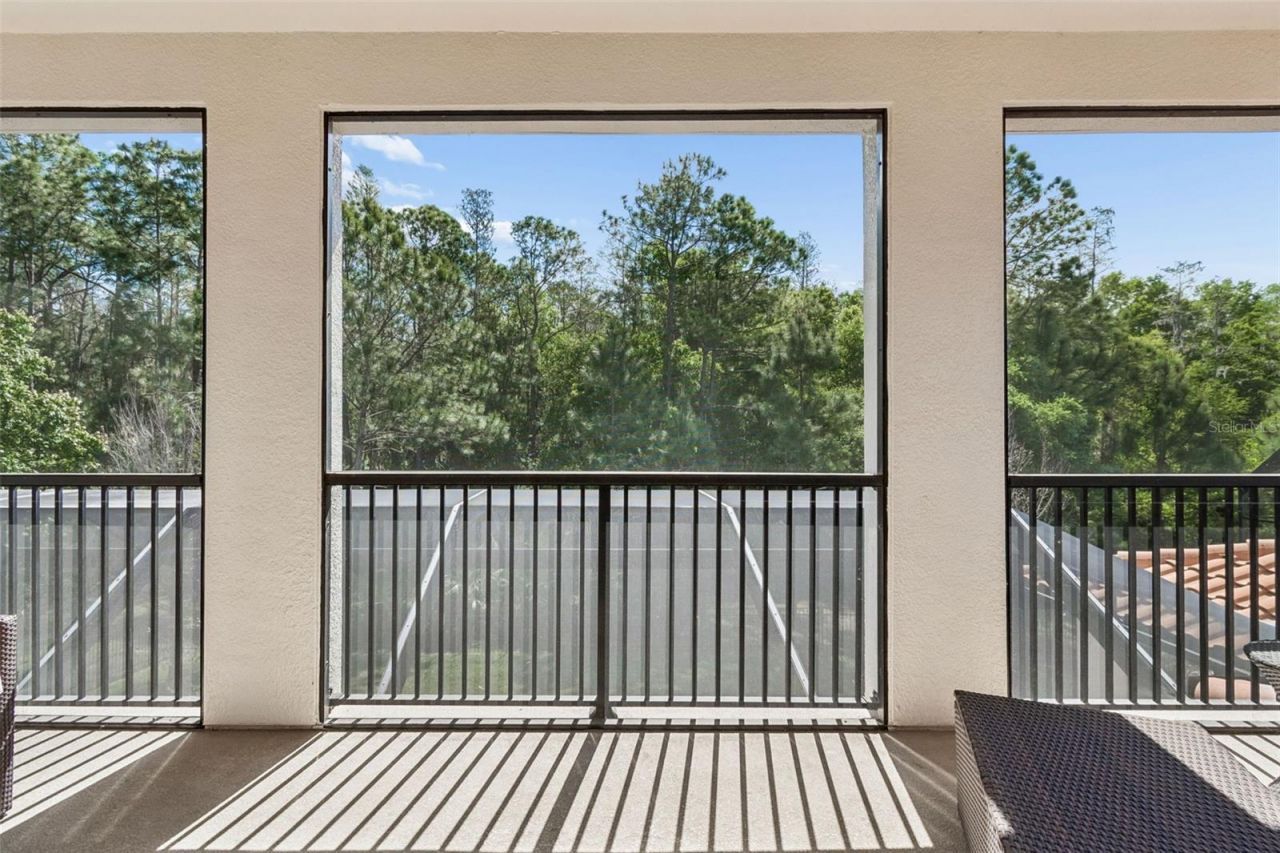 29190 Picana Lane, Wesley Chapel, FL 33543 Photo