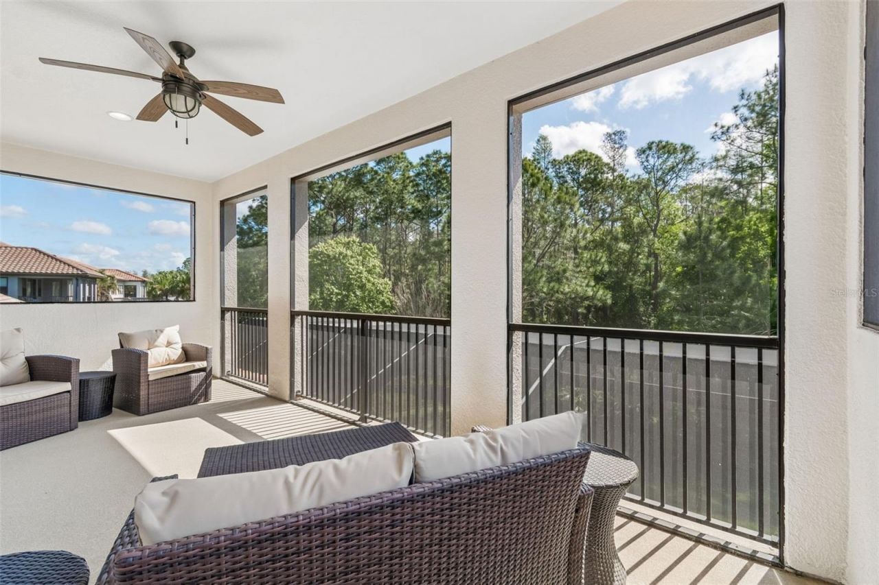 29190 Picana Lane, Wesley Chapel, FL 33543 Photo