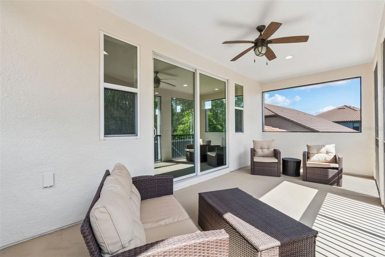 29190 Picana Lane, Wesley Chapel, FL 33543 Photo