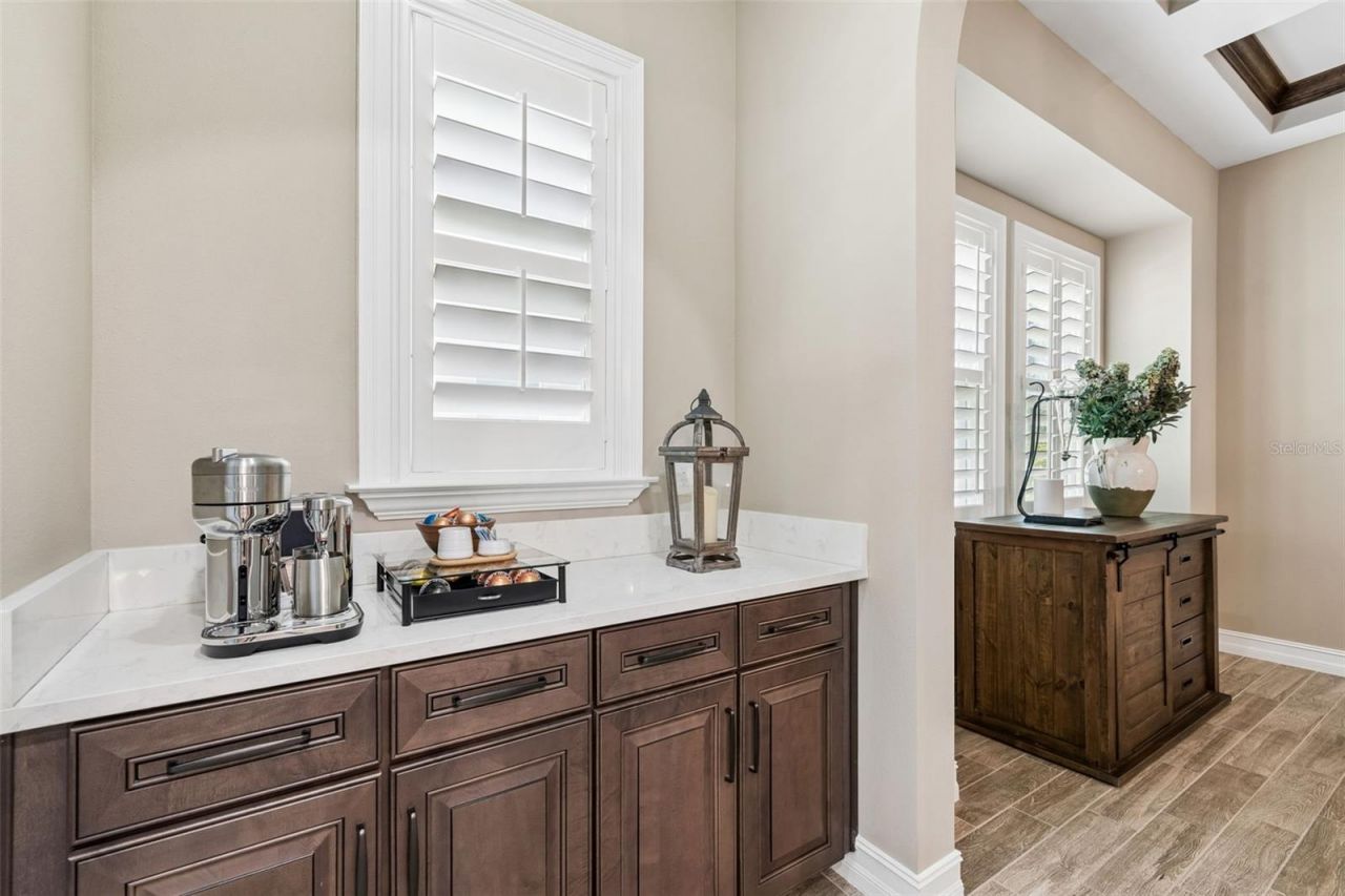 29190 Picana Lane, Wesley Chapel, FL 33543 Photo