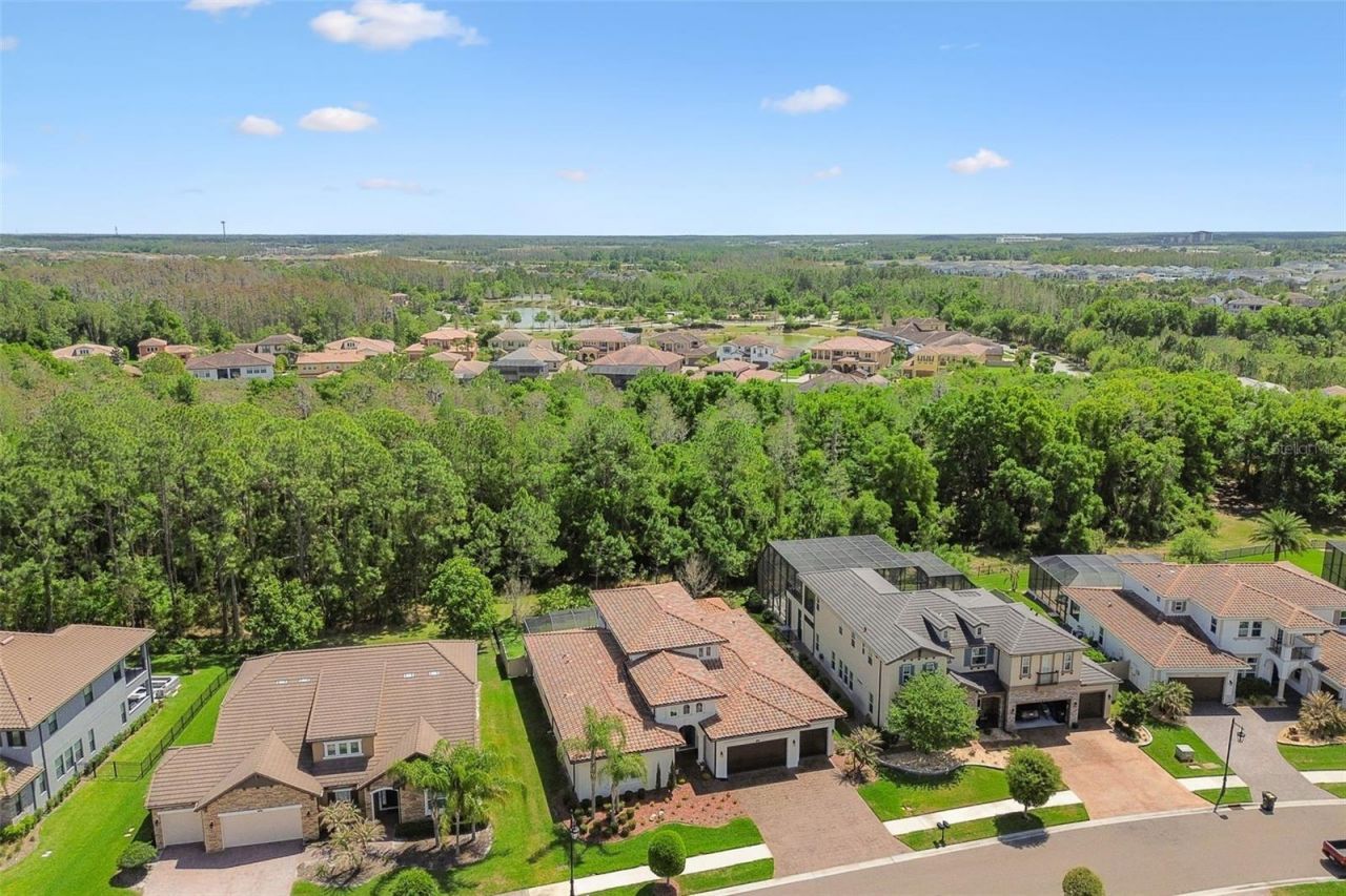 29190 Picana Lane, Wesley Chapel, FL 33543 Photo