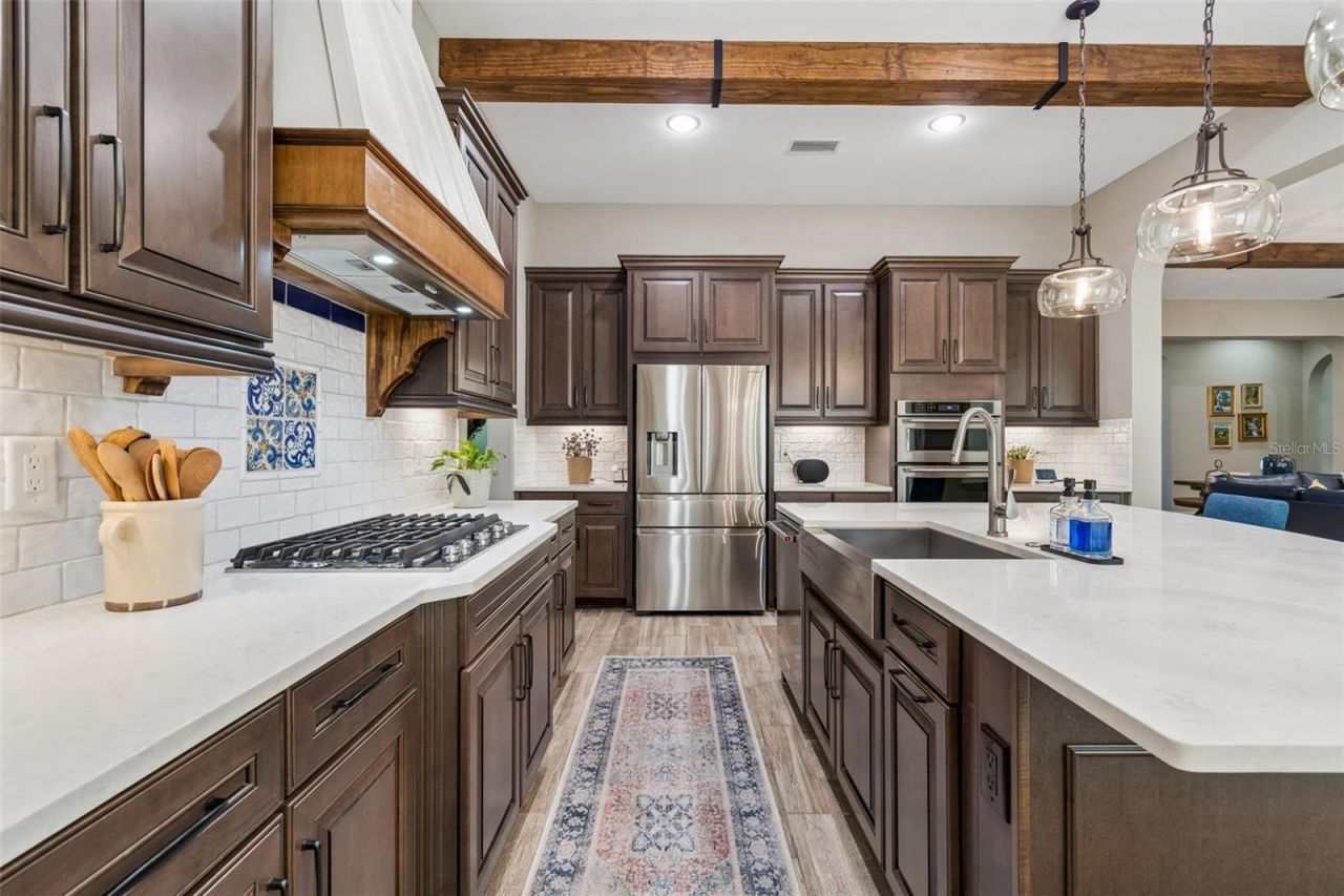 29190 Picana Lane, Wesley Chapel, FL 33543 Photo