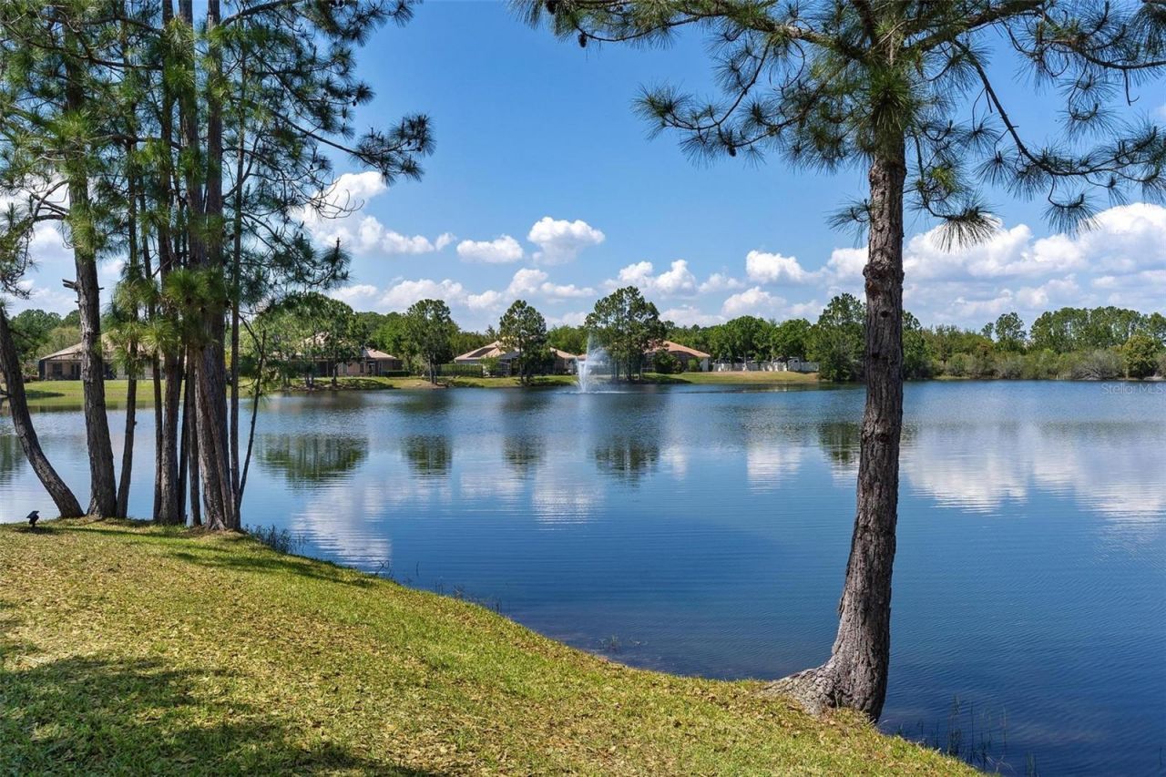 3001 Isola Bella Boulevard, Mount Dora, FL 32757 Photo