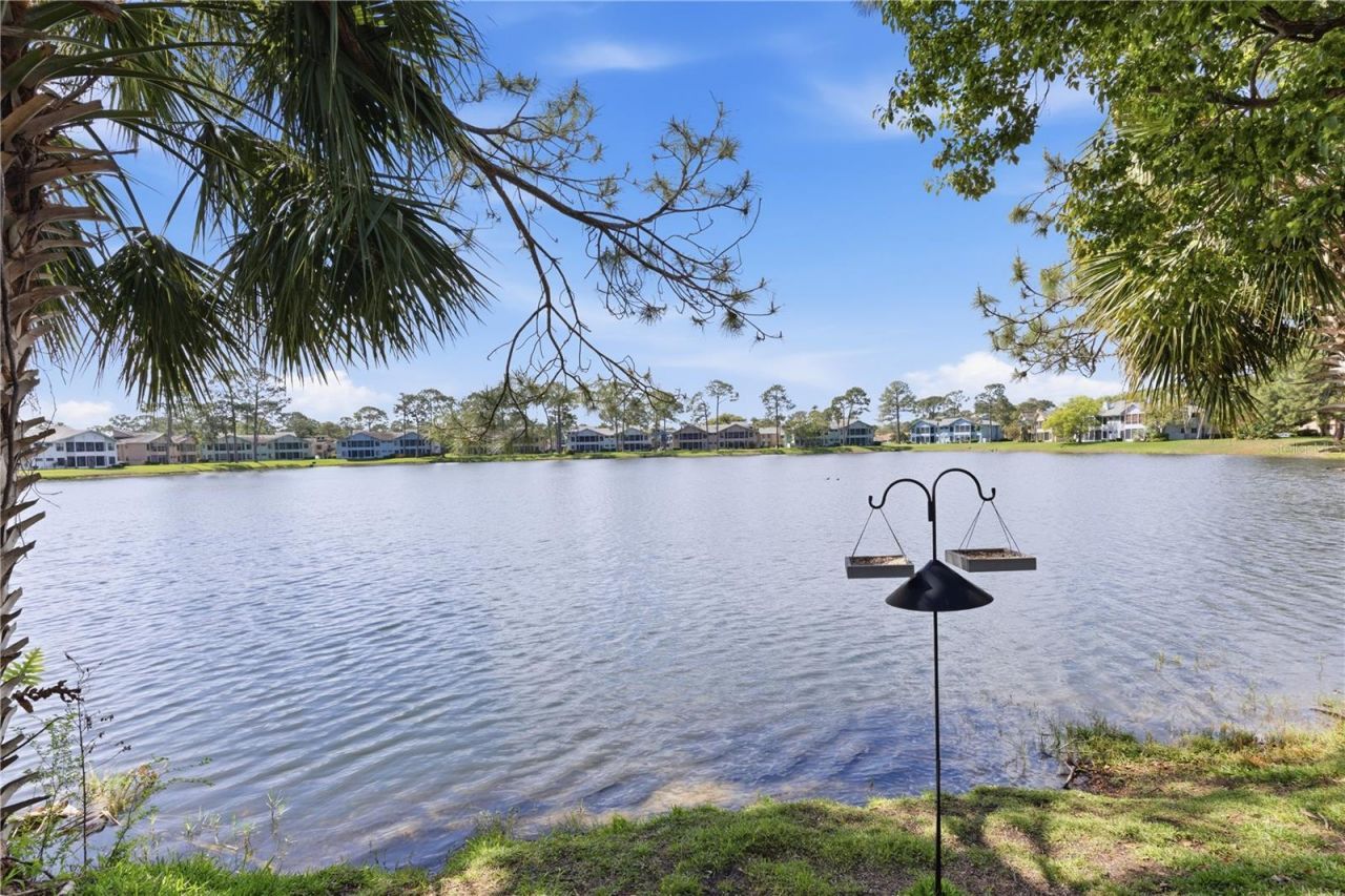 151 Grey Widgeon Court , Daytona Beach, FL 32119 Photo