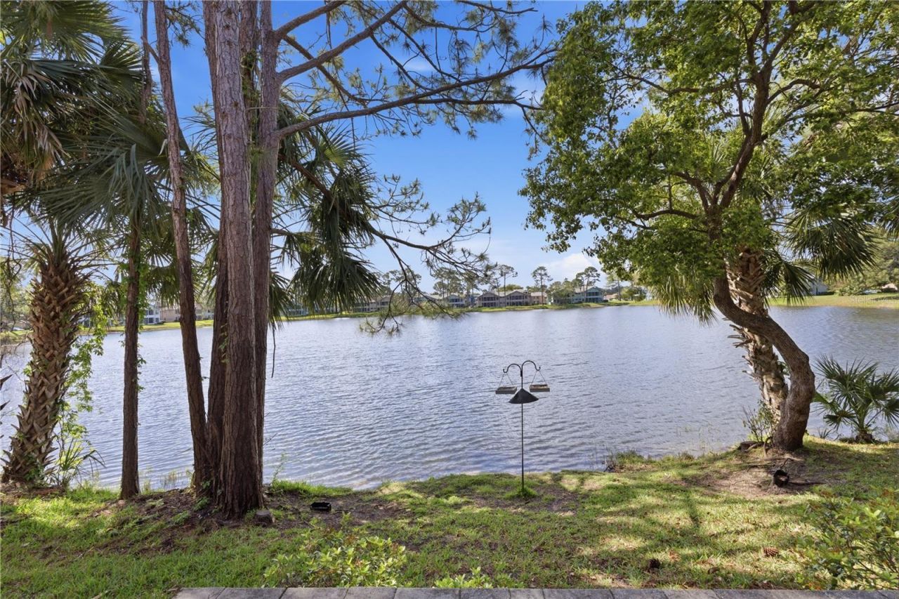 151 Grey Widgeon Court , Daytona Beach, FL 32119 Photo