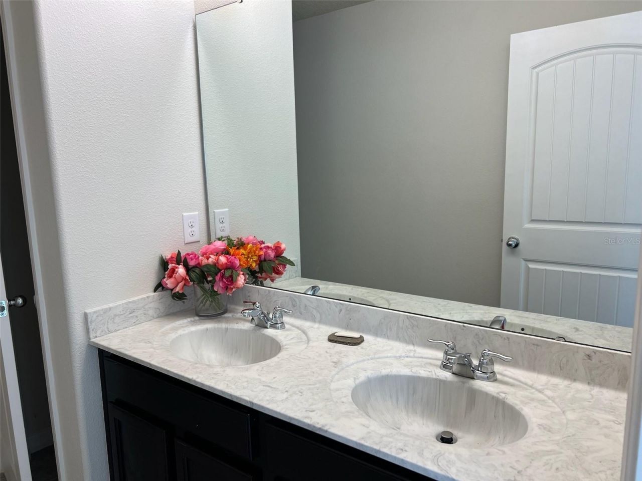 8685 Bayview Crossing Drive , Winter Garden, FL 34787 Photo