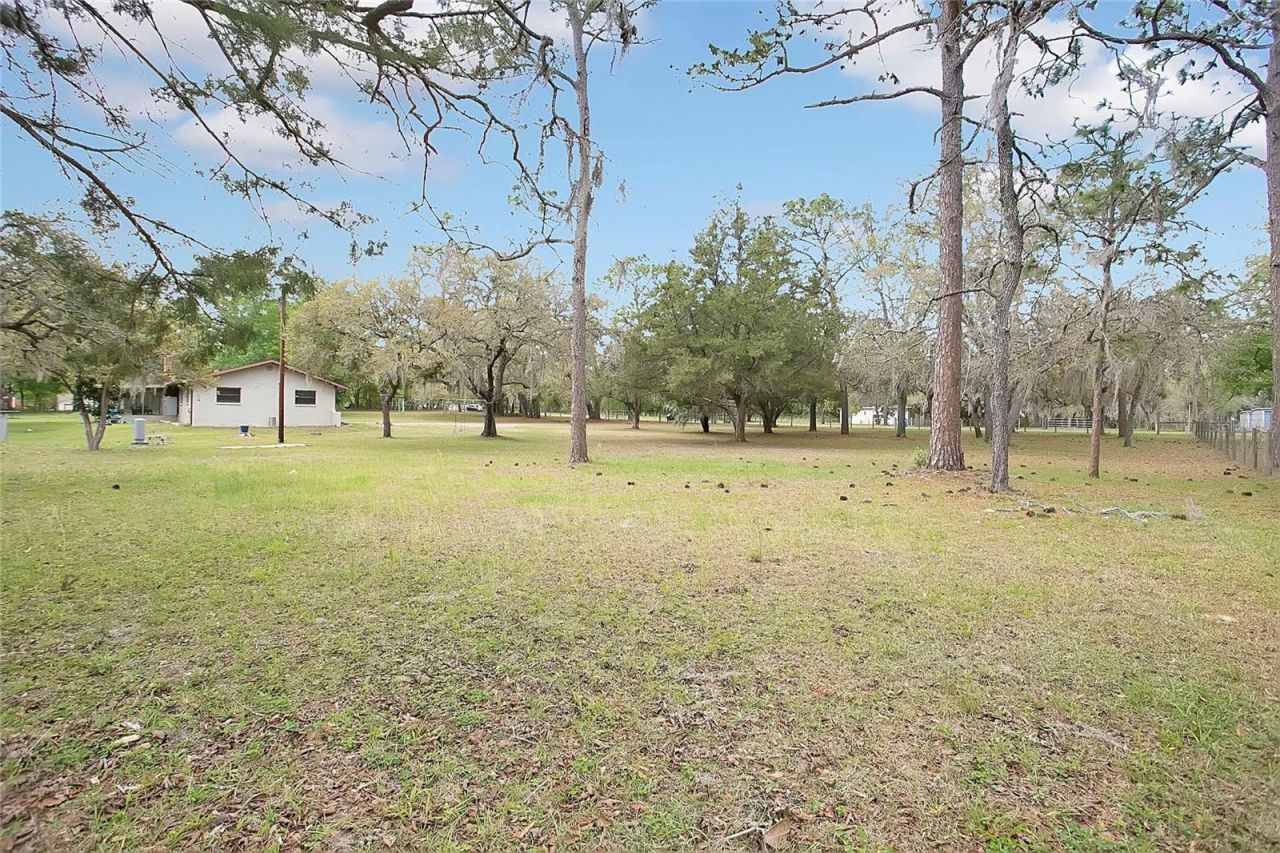 3116 E Buck, Inverness, FL 34452 Photo