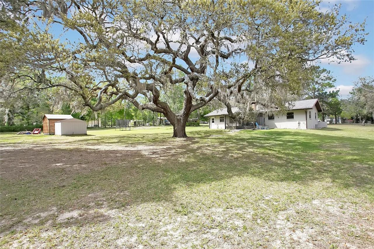 3116 E Buck, Inverness, FL 34452 Photo