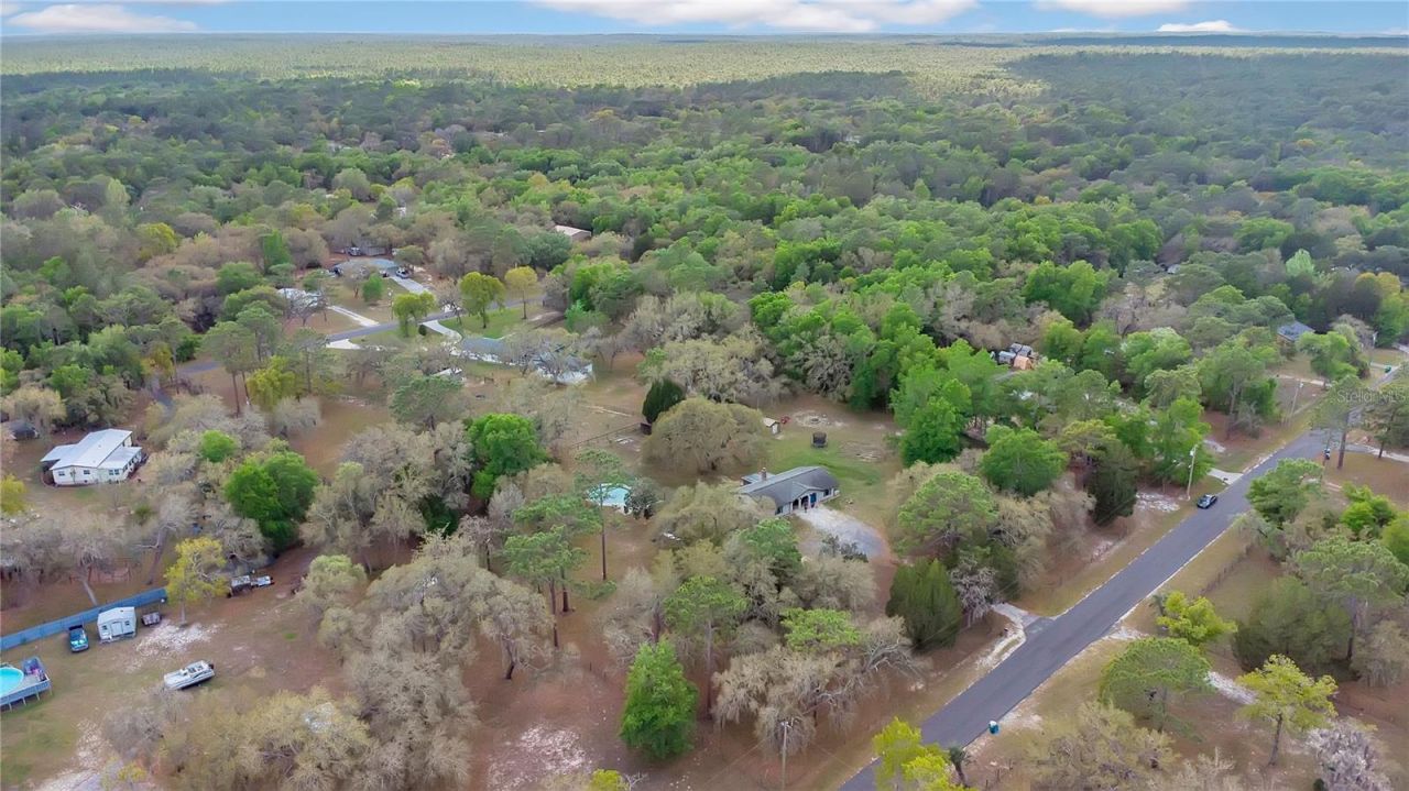 3116 E Buck , Inverness, FL 34452 Photo