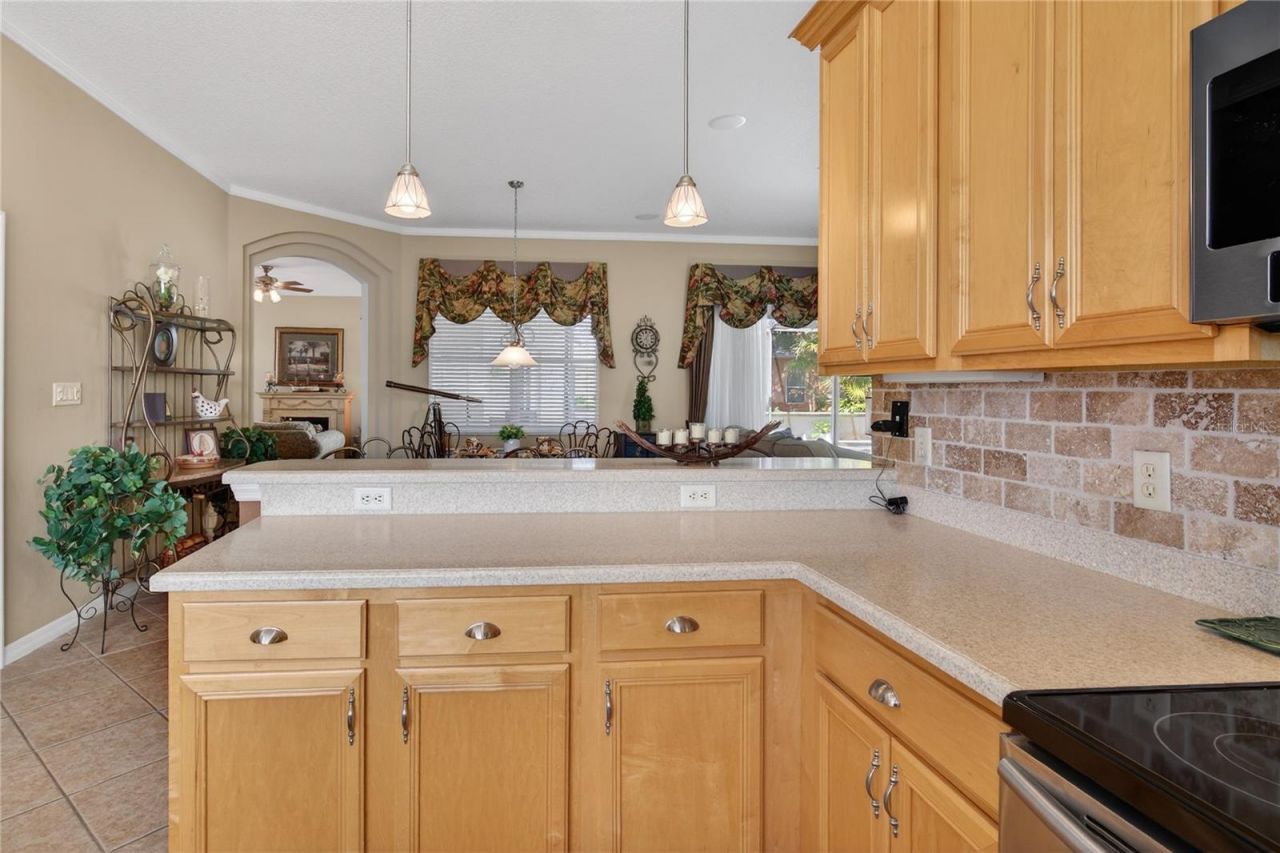 5225 Chanticleer Drive, Leesburg, FL 34748 Photo