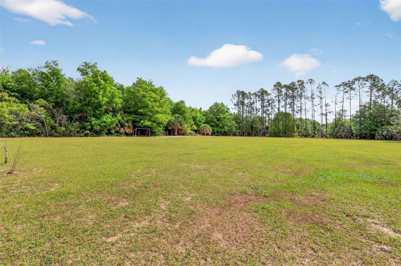 19703 Twin Ponds Road, Umatilla, FL 32784 Photo