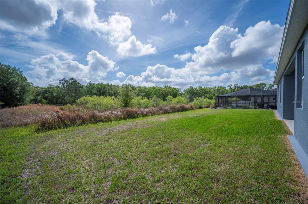 4550 Fairway Oaks Drive, Mulberry, FL 33860 Photo