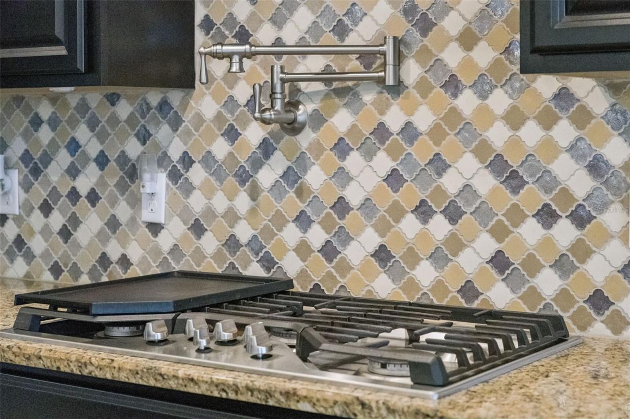 14038 Jomatt Loop, Winter Garden, FL 34787 Photo