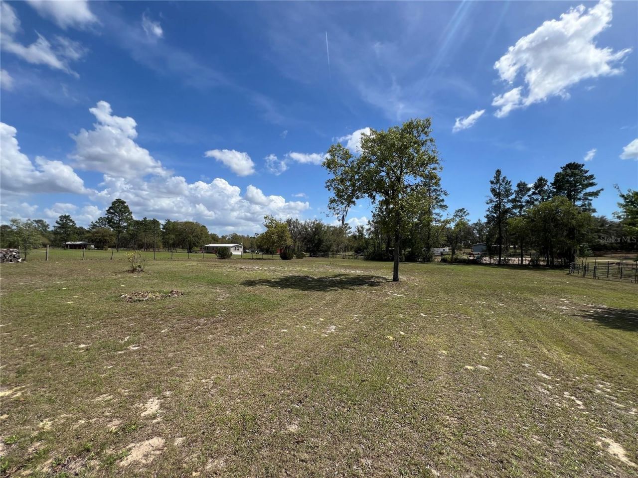 5351 NE 121st Terrace , Williston, FL 32696 Photo