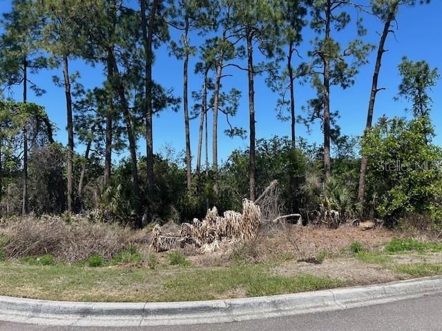 12405 Cruxbury Drive , Windermere, FL 34786 Photo