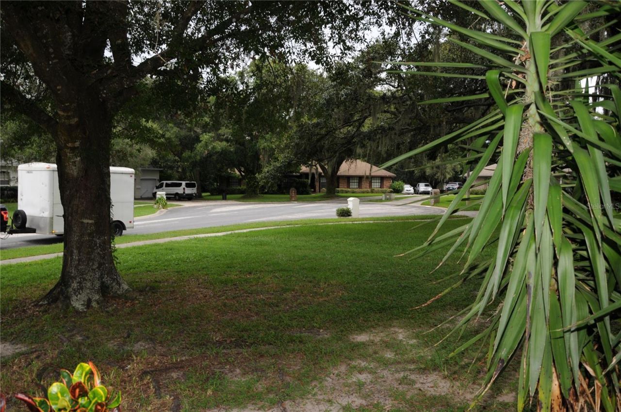 2106 Whitlock Place, Dover, FL 33527 Photo