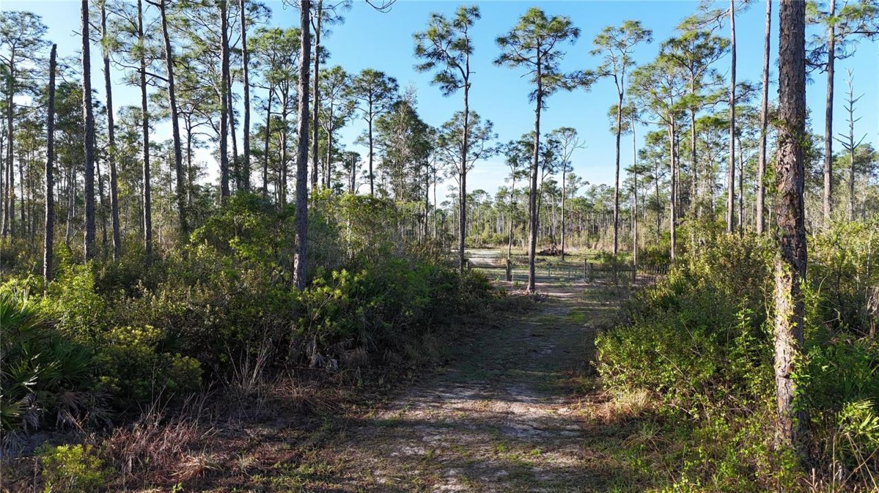 14350 Burnt Store Road , Punta Gorda, FL 33955 Photo