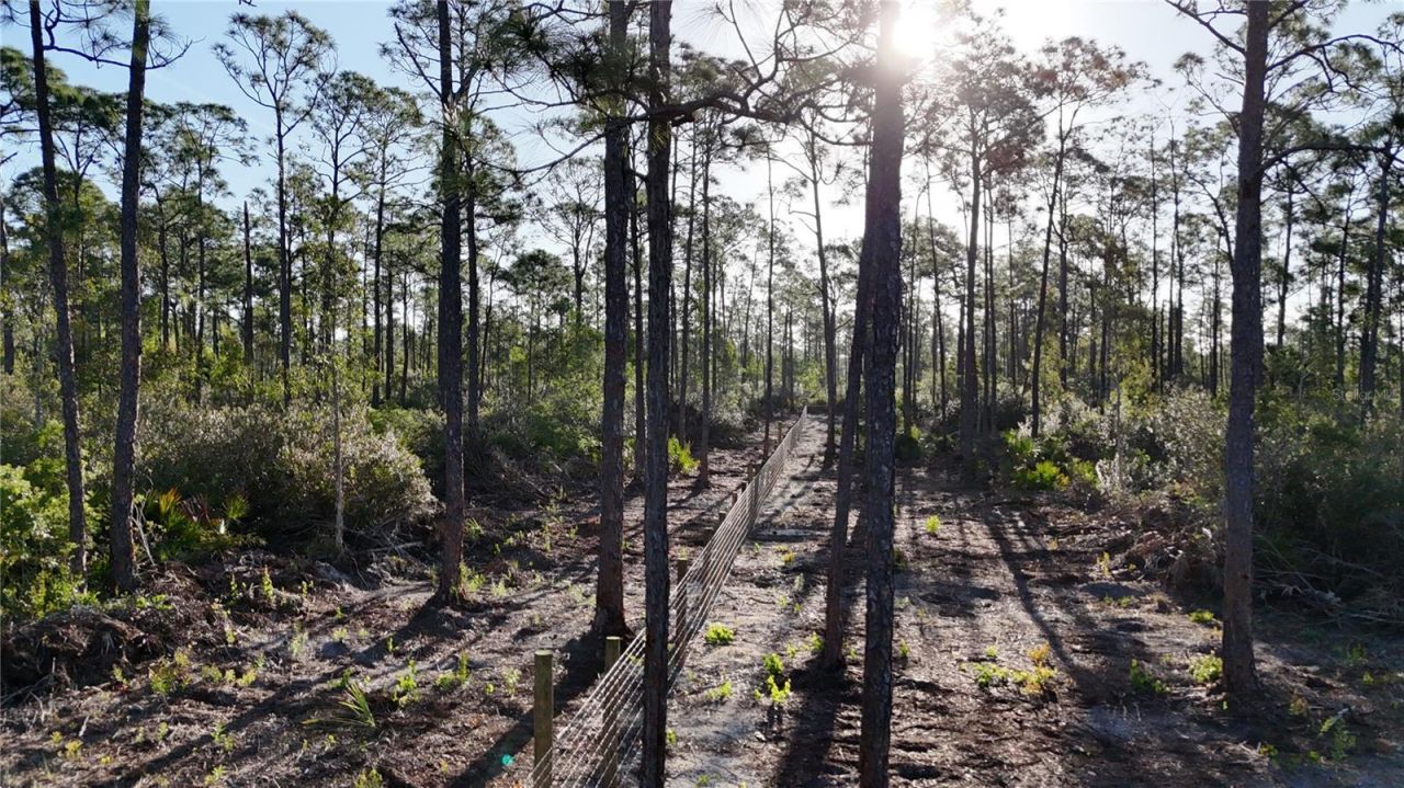 14350 Burnt Store Road , Punta Gorda, FL 33955 Photo