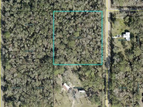10155 STYCKET AVENUE , HASTINGS, FL 32145
