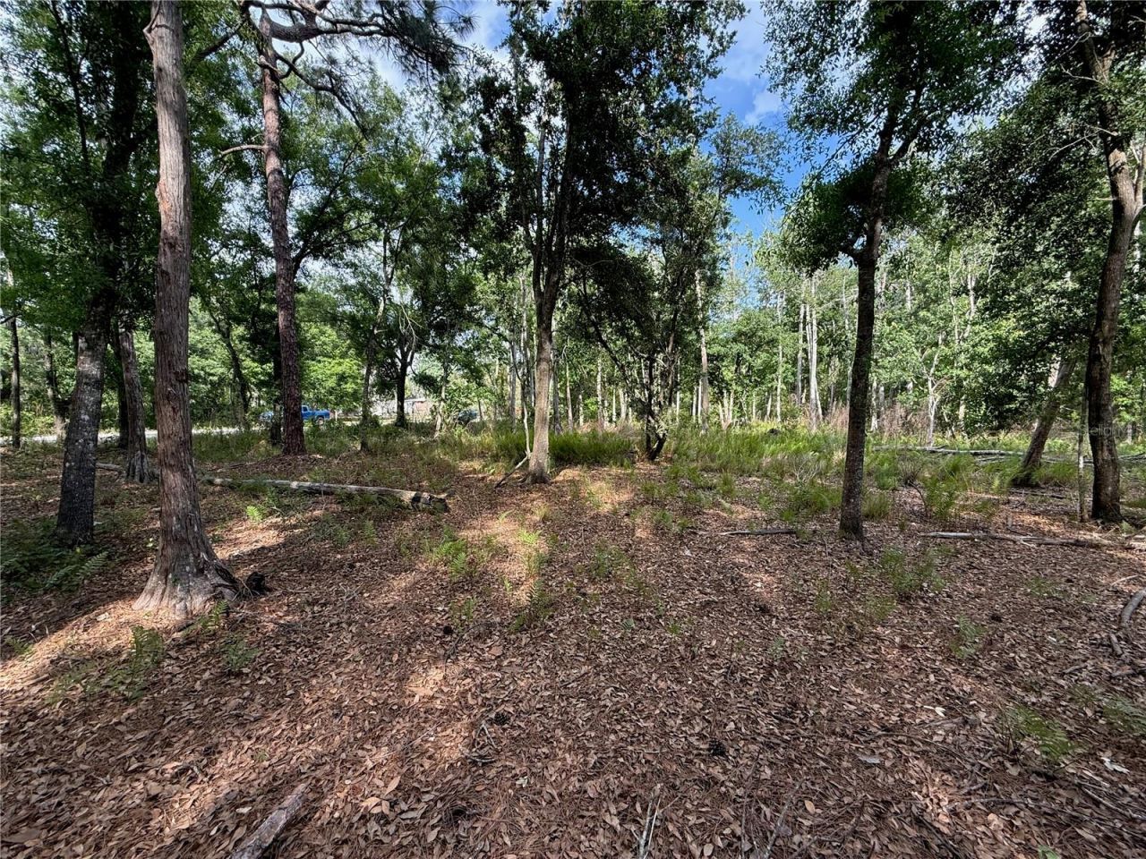 Quail Hollow Boulevard, Wesley Chapel, FL 33544 Photo