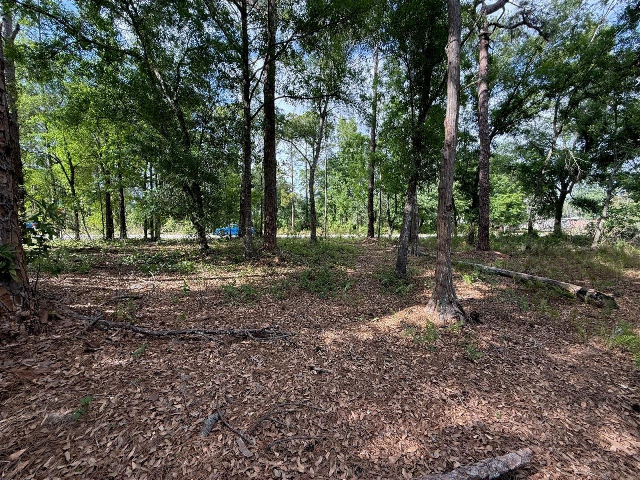 Quail Hollow Boulevard, Wesley Chapel, FL 33544 Photo