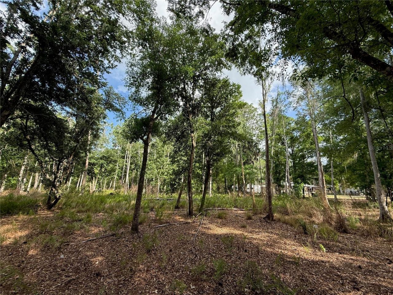 Quail Hollow Boulevard, Wesley Chapel, FL 33544 Photo