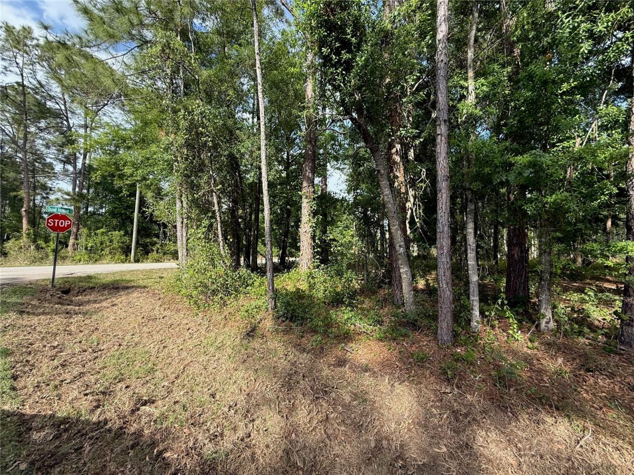 Quail Hollow Boulevard, Wesley Chapel, FL 33544 Photo