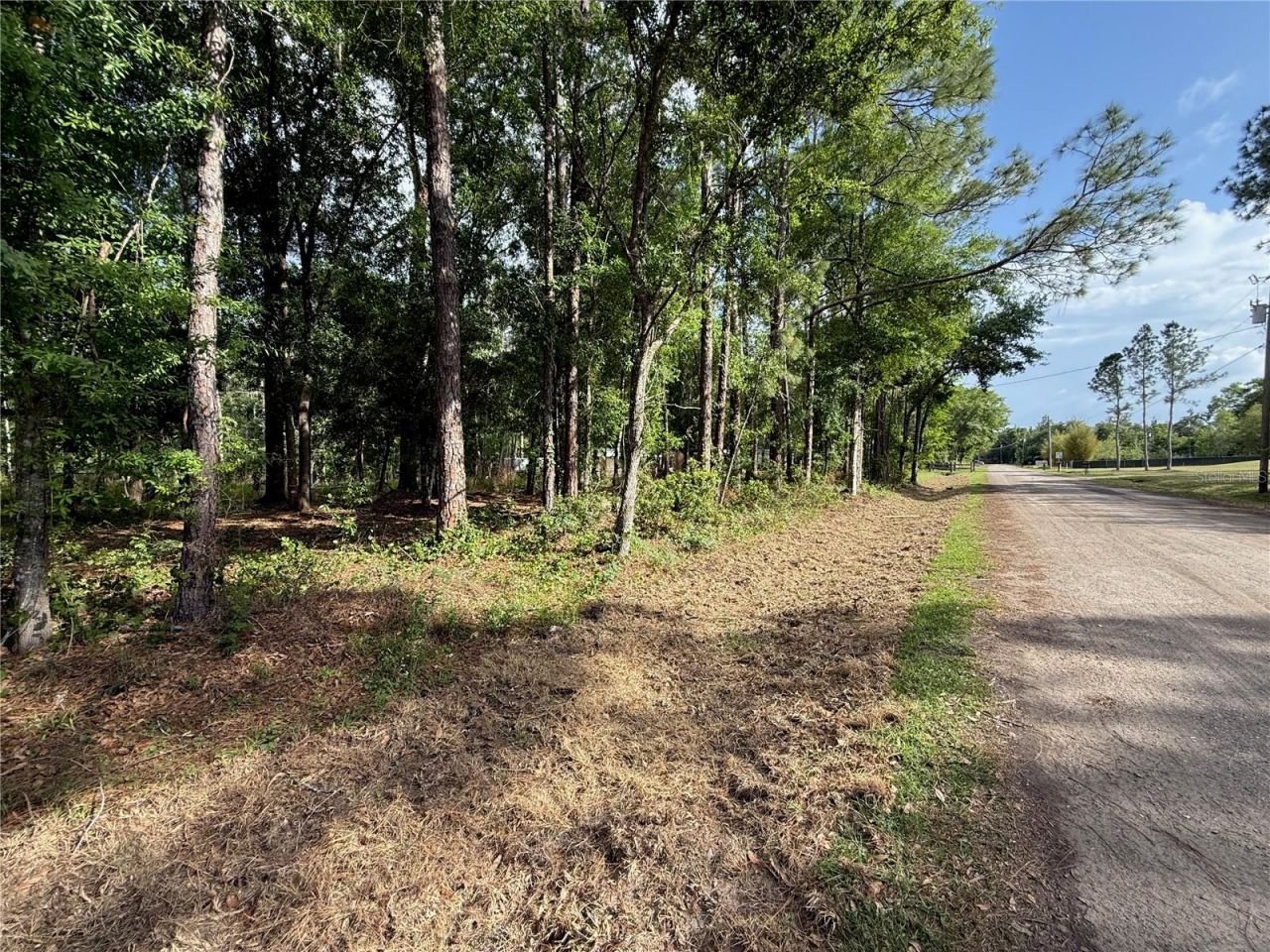 Quail Hollow Boulevard, Wesley Chapel, FL 33544 Photo