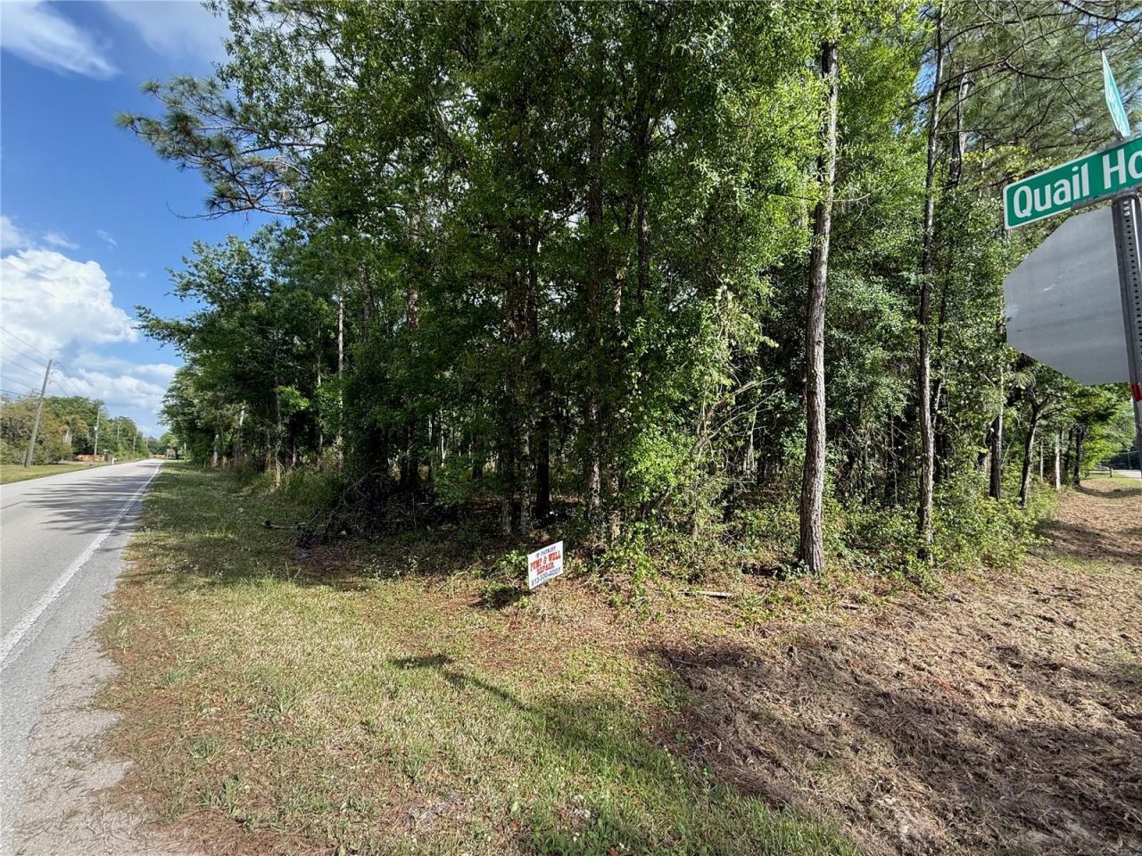 Quail Hollow Boulevard, Wesley Chapel, FL 33544 Photo