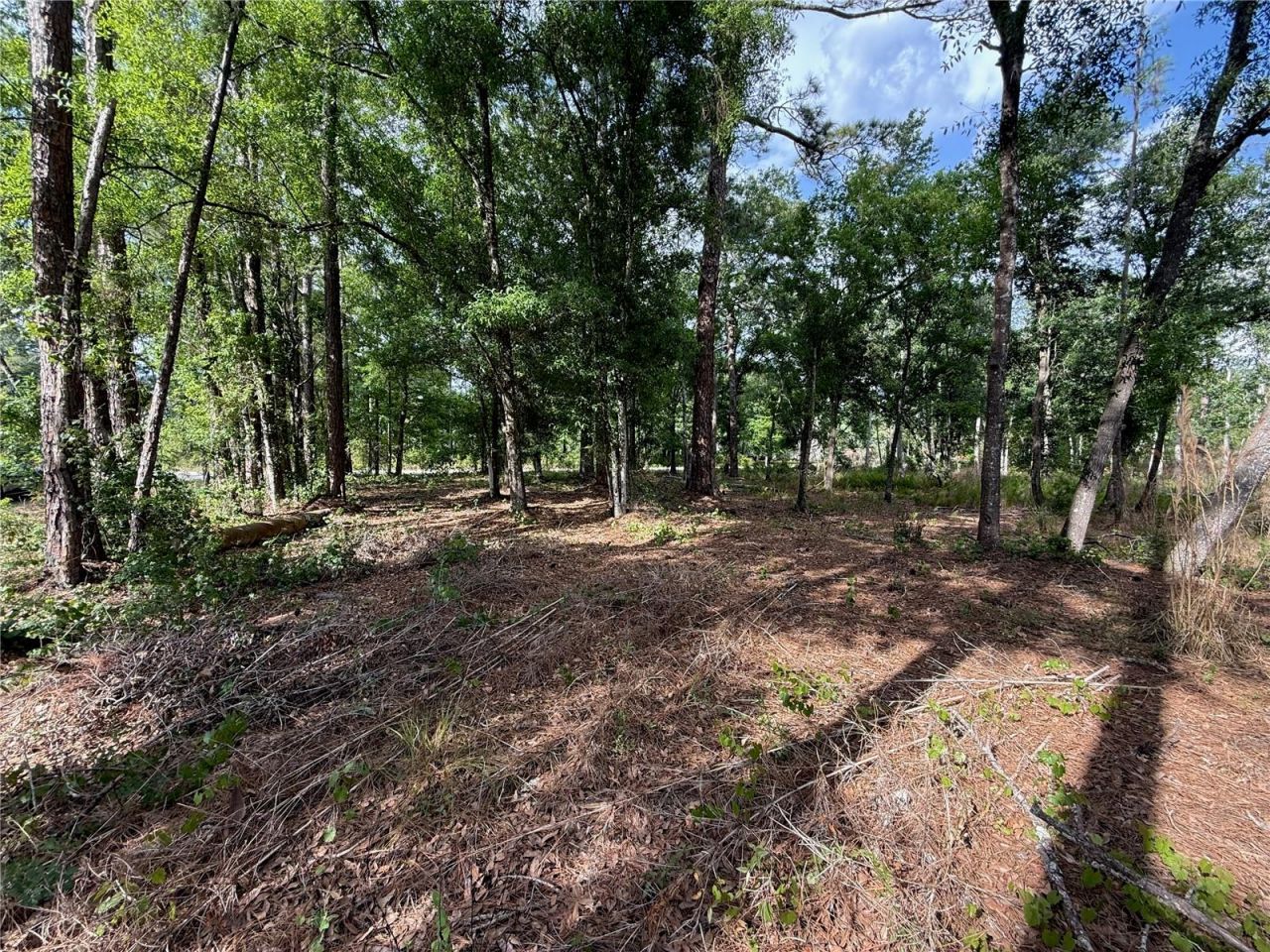 Quail Hollow Boulevard, Wesley Chapel, FL 33544 Photo