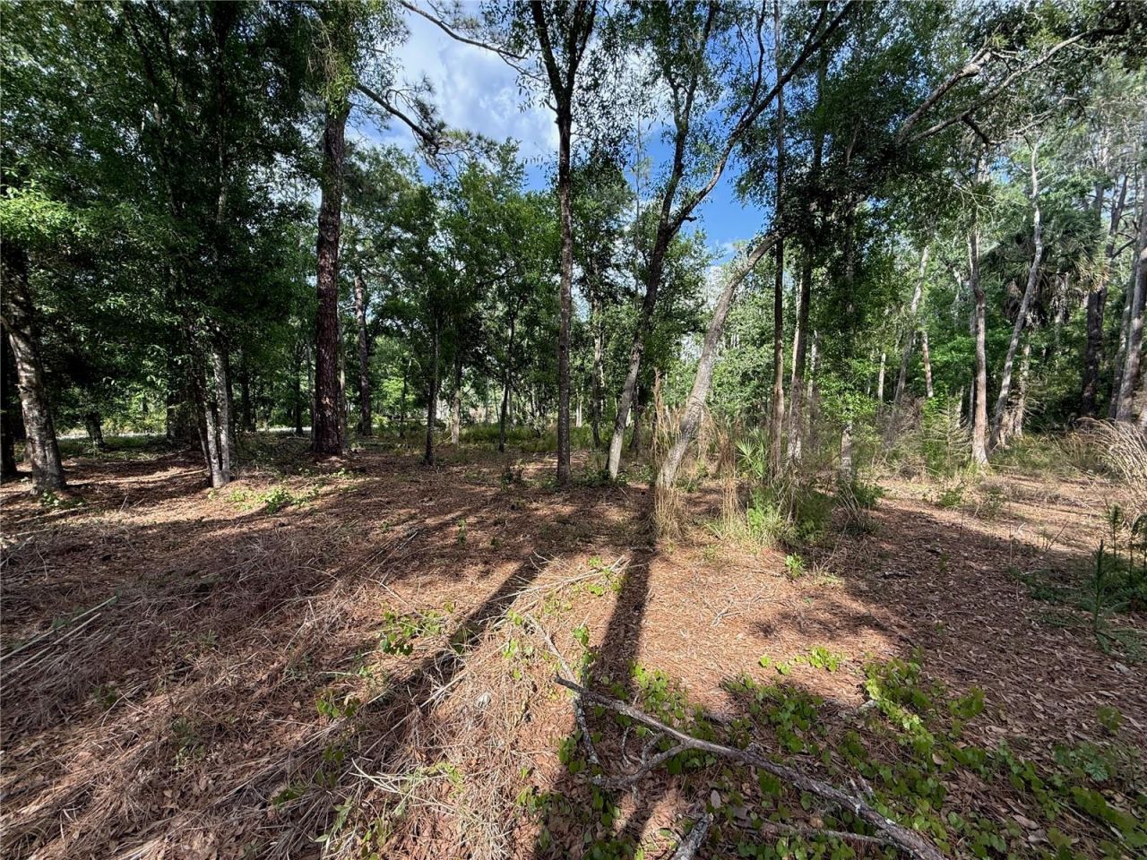 Quail Hollow Boulevard, Wesley Chapel, FL 33544 Photo