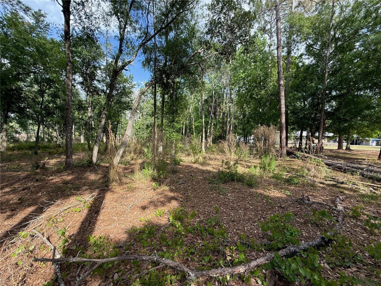 Quail Hollow Boulevard, Wesley Chapel, FL 33544 Photo