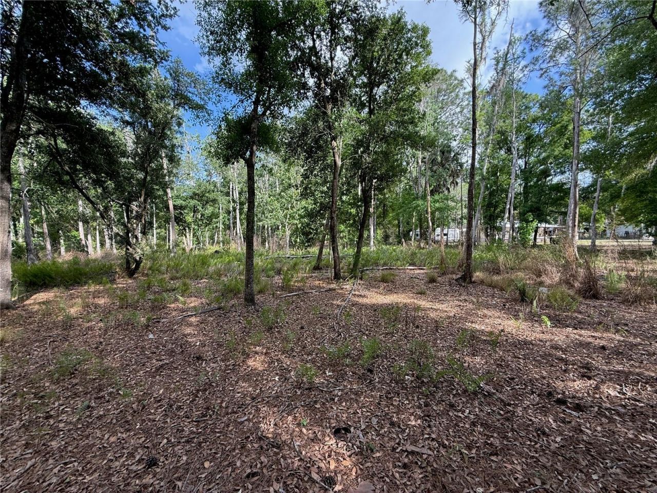 Quail Hollow Boulevard, Wesley Chapel, FL 33544 Photo