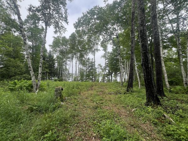 Lot 1 Puffins Lane, Machiasport, ME 04655